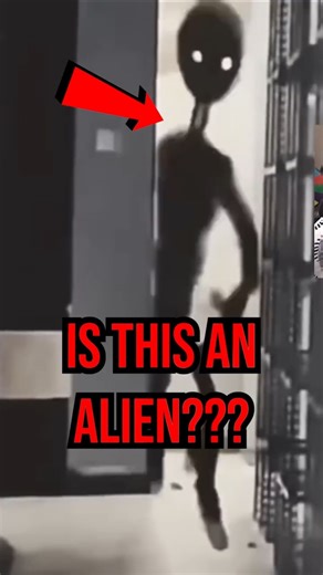 Is This An Alien???