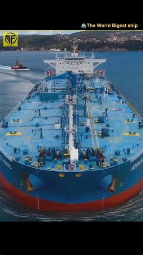 The Biggest Ship Ever Built! 😱🚢 | Seawise Giant Facts #shorts #facts #viral #top #new #trending