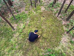 He had the idea of ​​building a shelter in the woods. #camping #outdoors #survival #travel #amazon | គ្រួសារគុនខ្មែរ