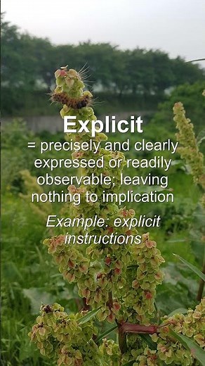 Word of the Day: Explicit #Shorts