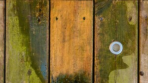 Why You Need to Clean Algae From Your Wood Deck (and How to Do It)