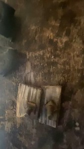 714 reactions · 7 comments | Witness the Majestic Laila Peak! A...