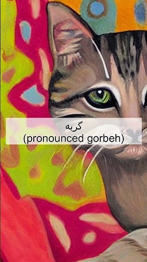 How do you say 'Cat' in Farsi? 🇮🇷| Learn Farsi Fast