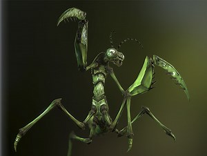 Praying mantis monster creature | 3D Creatures | Unity Asset Store
