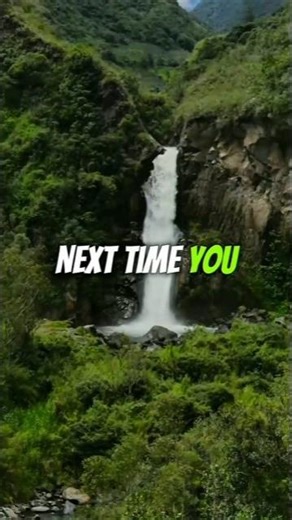 Cheese Smells Like FEET?! 😳 The Truth Will Shock You #amazingfacts #shorts