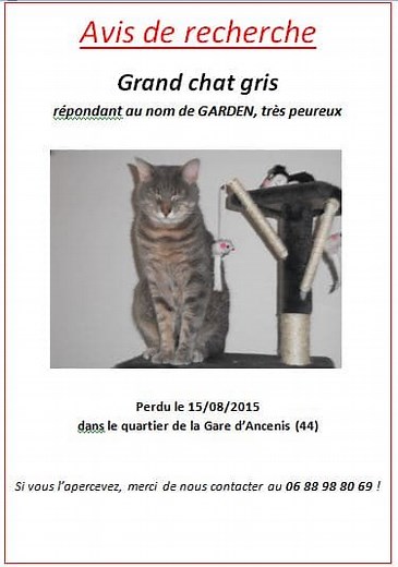 Affiche d'avis de recherche pour chat ou chien perdu