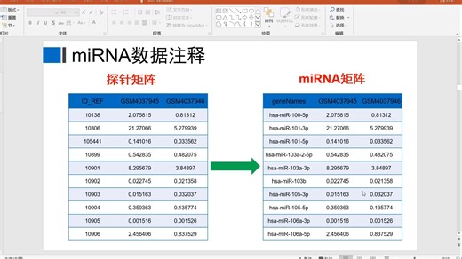 07.miRNA数据注释