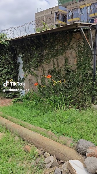 2023 Yamaha Tracer 9 GT for Sale – Low Mileage