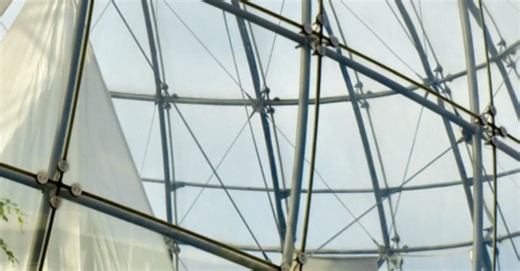 Our purpose & values | Deloitte