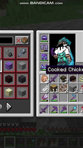 What is the rarest block in Minecraft? #minecraft #subscribe