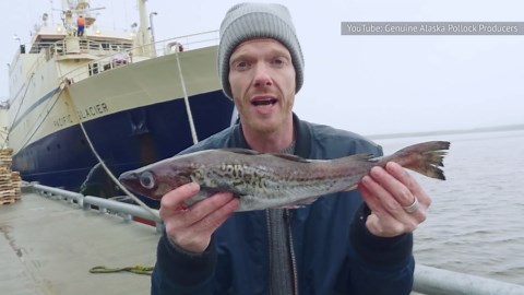 Stay Away From These Wildly Unhealthy Frozen Fish Sticks (& What To Buy Instead)