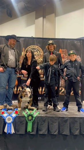 2025 OLDE ENGLISH BULLDOGGE ABKC National Winner… @B‪@BodybuilderBulldogs‬MOOSE of @K5k‪@K5kennel‬