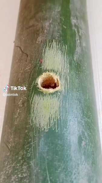 Expert Woodworking Techniques for Perfect Joints