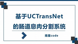 使用Uctransnet训练自己的数据集
