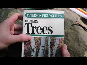 How to Use a Field Guide