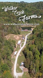 🍂 Daniel Tanner says it best—fall’s the perfect time to visit Walker Creek Farms! Come feel right at home! 🏡 | Walker Creek Farms & Cabins