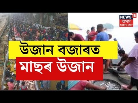 LIVE | ডাঙৰ মাছ কিনিবলৈ উজানবজাৰত গ্ৰাহকৰ ভিৰ। Uzan Bazarত গুৱাহাটীৰ আটাইতকৈ ডাঙৰ মাছ।