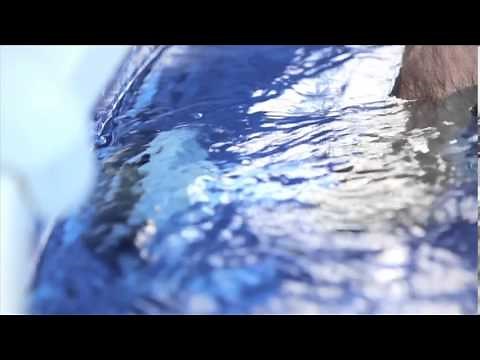 Connect your pool cleaner in the proper way