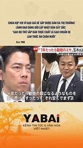 52K views · 376 reactions | YABAI on Reels | Facebook