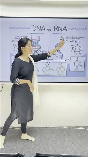 DNA & RNA Structure 🧬 | NCERT Biology Class 11/12 | Simplified