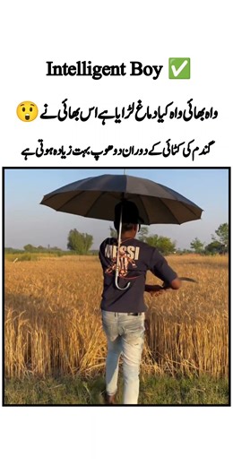 Intelligent Boy 🧠|Best Quotes|Love Poetry|Good idea|Motivational|Inspiration|#shorts