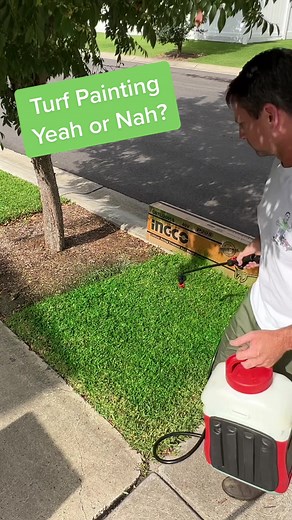 Endurant Turf Paint for Your Lawn Care Needs