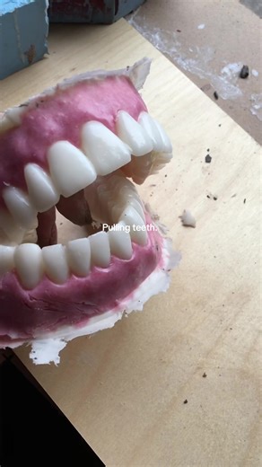 I plan to do a few photo sets and videos of techniques and materials for artists and anyone who is interested. Here we have some polyester teeth being pulled out of a tin silicone mold. Any questions? Ask away! #teeth #plasticteeth #teethmold