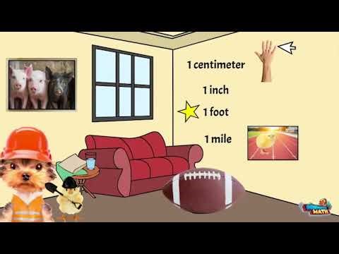 Solving Measurement Problems with Length - 2nd Grade