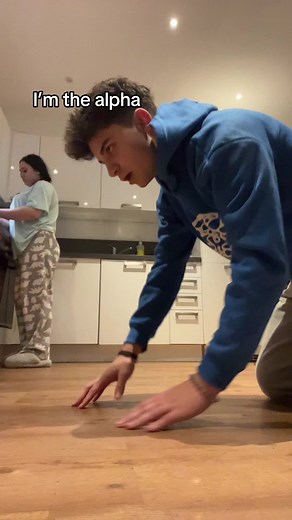 Understanding Pack Dynamics in Wolf Behavior