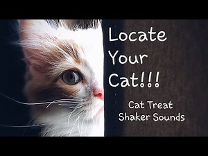 Cat Locator - Cat Treat Shaker Sound Effects - Find Your FELINE