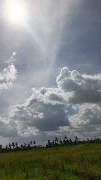 terbang perdana deltawing mini rc #aeromodelling#hobi #rcplane