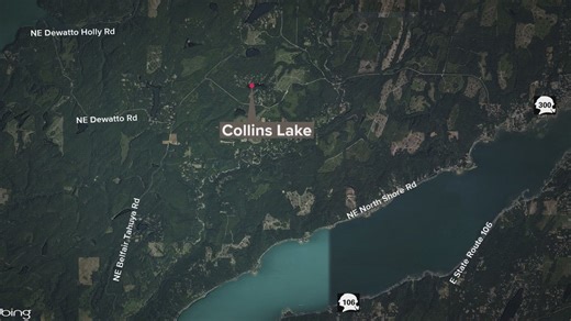 Mason County deputies arrest man in fatal Belfair fight