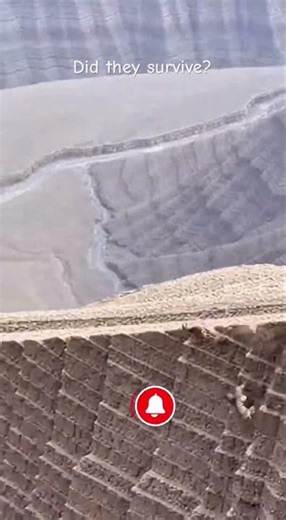 They Slipped… And What Happened Next Was Caught on Camera #viral #shorts #wildlife