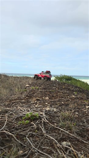 Wpl C24 checking out the gloomy views #hawaii #rc #rccrawler ‪@INJORA‬