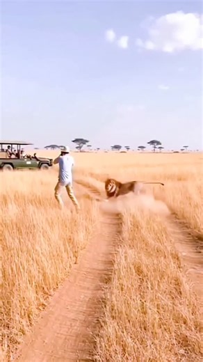 wildanimalstory on Instagram: "日本利用压电瓷砖将脚步转化为电能。这些瓷砖捕捉来自你脚步的动能。当你行走时,你的重量和动作会对瓷砖产生压力。瓷砖会轻微弯曲,从而产生机械应力。瓷砖内部的压电材料将这种应力转化为电能。每一步都会产生少量电荷,而数百万步结合在一起就能产生足够的电力来驱动LED灯、数字显示屏和传感器。在像涩谷车站这样繁忙的地方,每天大约有240万个脚步为这一系统作出贡献。这些电能可以被储存或立即使用,从而减少对传统电力来源的依赖,并支持可持续的城市基础设施。这种方法将日常运动转化为实用的可再生能源 #日本 #知识 #事实#你知道吗#推荐#科技#创新#历史 #技术#实验#热门音乐"