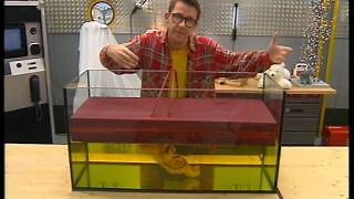 Documentaire | C’est pas sorcier – Bébés, histoire d’une naissance