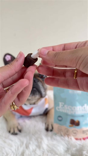 💊🐶 Dificuldade para dar comprimido ao seu cão? O Esconde Comprimidos da Buddy Nutrition é um petisco desenvolvido especialmente para envolver o medicamento e facilitar a administração, sem estresse e sem sofrimento. Mais praticidade para você. Mais tranquilidade para seu pet. 🤍 Simples, seguro e delicioso. Já conhecia essa solução? 🐾 Com o cupom OLIVIA você tem descontos em suas compras no site da Buddy Nutrition e, assim como eu, poderá cuidar da sua saúde com o que há de melhor!! 💜🐶 Eu u