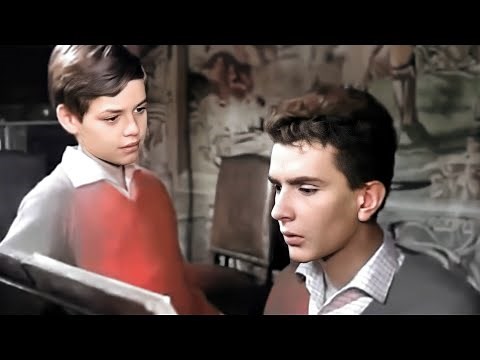 Les amitiés particulières