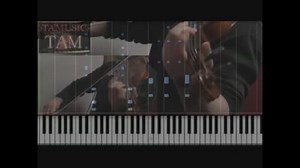 【Fate/Zero】ED [MEMORIA] FULL ヴァイオリン:TAM