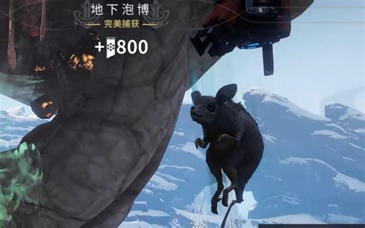 【Warframe】金星攻略03：快速完美捕获小动物