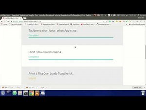 Introducing 1-Click Playlist Downloader by cpClips.com