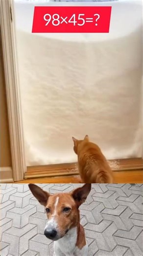 these pranks went hilariously wrong 😂 #shorts #prank #funny #trending #hilariousfails