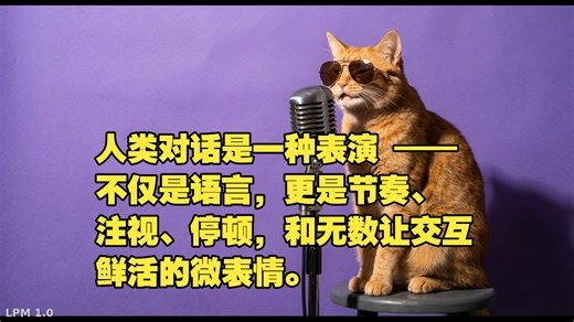 蔡喵的视频角色表演生成模型LPM 1.0效果展示