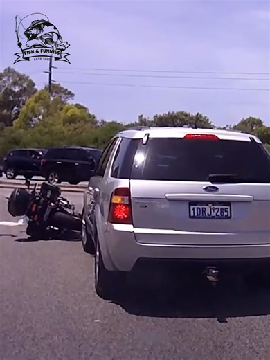 From crazy stunts to unbelievable wrecks, these are the most ridiculous drivers caught on camera! 🚦💥 #DriverFails #ShockingMoments #carcrashes #EpicFails #CaughtOnCamera | Fish & Funnies