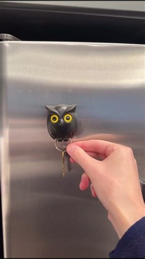 Owl Key Chain