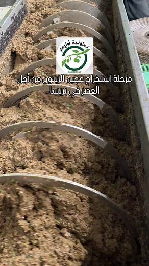 Cooperative Olimar Commercial on Reels