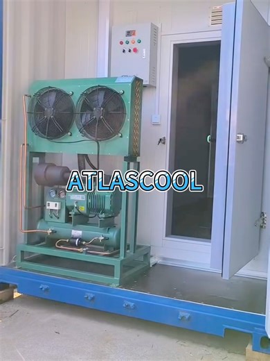 Contenedor Frío: Soluciones de Almacenamiento Efectivas