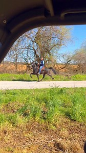 50K views · 1.5K reactions | ‼️PHOENIX ‼️ The definition of a single footin hoss  | Jacob Parks | Facebook