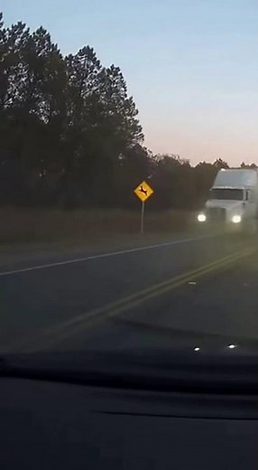 Deer Hit…Then the Car Saved Itself 🦌 #Dashcam #Miracle