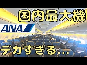 500人以上⁉︎ 格が違う飛行機で沖縄→東京便に乗ると...
